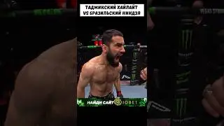 Киллер с лицом ШКОЛЬНИКА устроил рубку с ТАДЖИКСКИМ львом 😳 