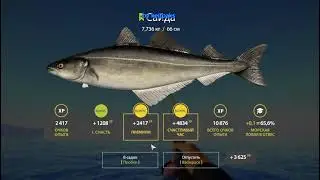 РР4 Норвежкое Море Пикша Синий Трофей.