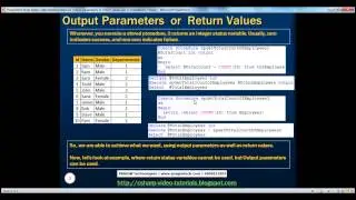 20  Stored procedure output parameters or return values