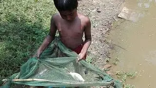 village traditional fishing method small boy catching fishing using by mini net Amazing Nature.