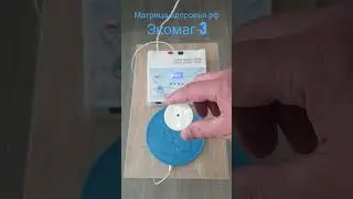 Матрицы Гаряева П.П. на катушках Н.Тесла.