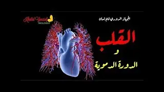 تركيب القلب - الدورة الدموية
-  الجهاز الدوري ١