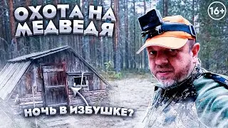 Встретили огромного медведя в тайге. Лайки идут по следу. Охота с 