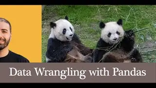 Complete Pandas Data Science Tutorial - Reading CSV , Missing Values, Filtering, Groupby, Plotting..