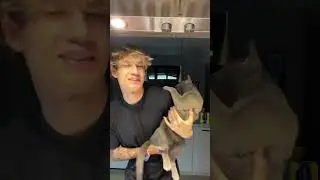 wait till the end pls