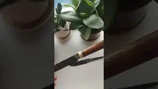 кованый нож с рукоятью из ореха и рога лося