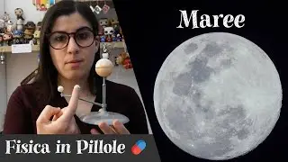 Come funzionano le MAREE?