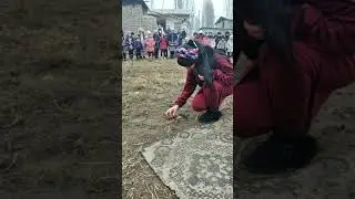 Жасминахондан мухлисларига янги томошолар