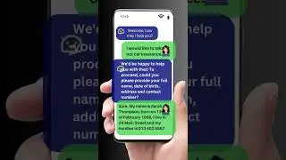 Example of a Chatbot interactive with a client