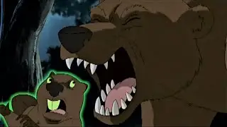 Bear eats beaver (S E13)
