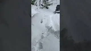 Снег горы Абхазия Мехадыр 16.02.2023.