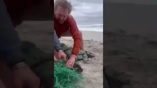 Чудо спасение, чудо людьми
