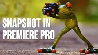 HOW TO CREATE A SNAPSHOT IN PREMIERE PRO IN 30 SEC?