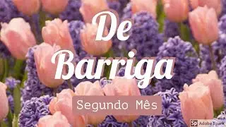 GRAVIDEZ DE 3 - 13 SEMANAS - COM HIPEREMESE GRAVIDICA