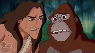 Desene animate cu Tarzan in limba romana