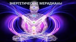 Энергетические каналы Базовые меридианы Функции Симптомы