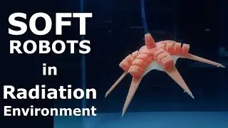 Evaluation of 3D Printed Soft Robots in Radiation Environments