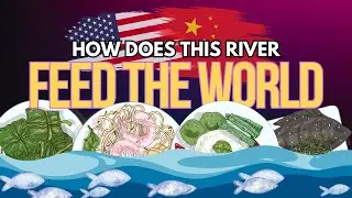 How the Mekong River Feeds the World