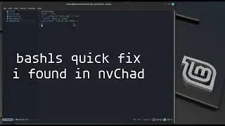 bash lsp quick fix nvChad local servers 