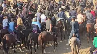 KO'KDALA CHIYAL OQTUNLI QISHLOG'I KUPKARISI OXIRGI QISM 02.11.2024 YIL