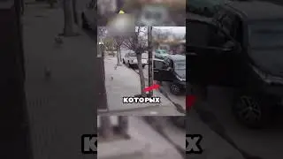 Собака уничтожила машину 🐕🚘🔥