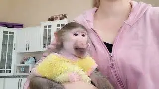 Никуша и Луняша завтракают 😋 Всем привет ! хорошего дня !