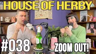 Zoom Out! | Herby House Podcast | EP 038