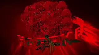 Футаж: Шикарный БУКЕТ РОЗ HAPPY BIRTHDAY на тёмно-красном фоне с эффектом контура сердечек