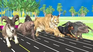 Epic Animal Race in Rainy Day, Puma, Hyena, Buffalo, Hound, Goat