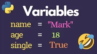 Variables and Data Types in Python are Easy 🐍