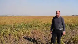 Хелатні мікродобрива серії 