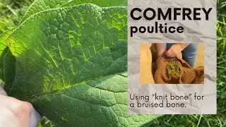 Ep. 183: DIY Comfrey Poultice: Healing Herbs for Natural Healing and More