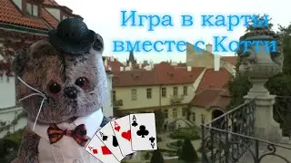 Игра в карты вместе с Котти