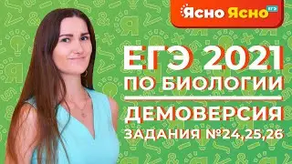 ЕГЭ по биологии 2021 | Задания №24, №25, №26 | Демоверсия | Ясно Ясно ЕГЭ