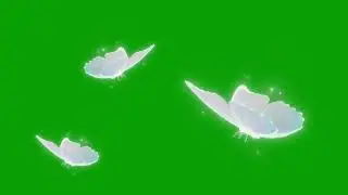 Glowing Butterflies Green Screen | | Everything Green Screen