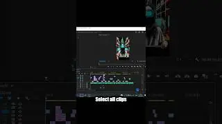 AVOID Premiere Pro PLAYBACK Problem