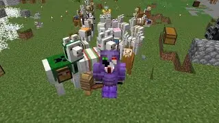 Ranboo creates the Llama Army on the Dream SMP (04-25-2021) VOD