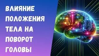 Влияние положения тела, рук и ног на дыхание и поворот головы.