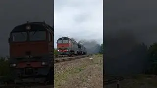 3ТЭ116У 016/003  