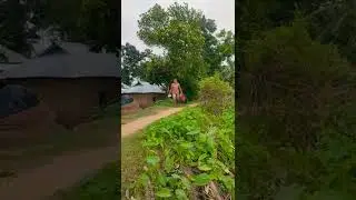 mokai funny video  bangla2022
