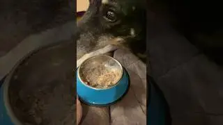 Моя Рыбонька 🥰❤️ 