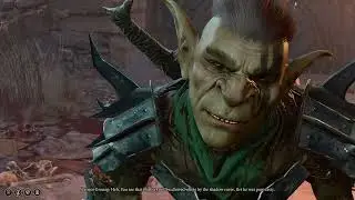 Dark Urge Making Goblin Play Fetch in Baldur's Gate 3
