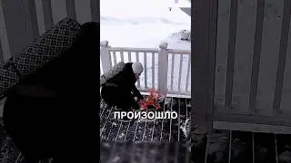Пранканул маму😇 
