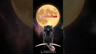 Valdis Zen Channel
