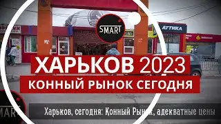 Харьков сегодня, Конный рынок: Как работает рынок сегодня