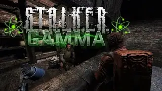 STALKER GAMMA