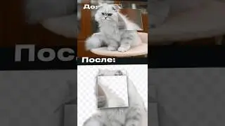 Удаление фона за 1 клик 