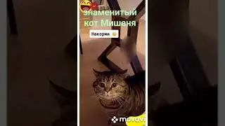 Они говорящие 
