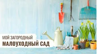 Малоуходный сад / Мой Загородный / #31