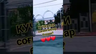 Кучкак 